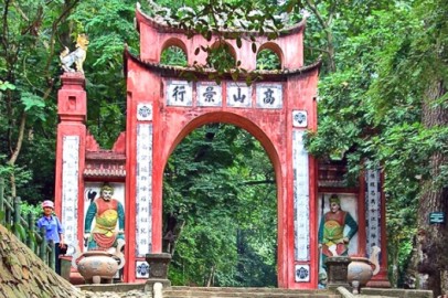 Mua rượu dừa tại Phú Thọ
