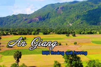 Mua rượu dừa tại An Giang