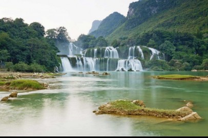 Mua rượu dừa tại Đắk Nông
