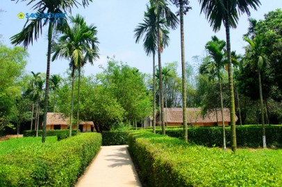 Mua rượu dừa tại Nghệ An